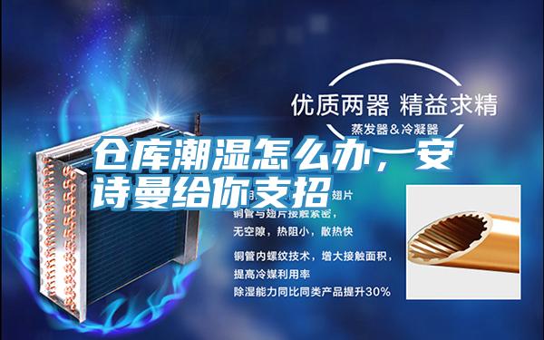 仓库潮湿怎么办，安诗曼给你支招