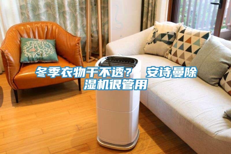 冬季衣物干不透？ 安诗曼除湿机很管用