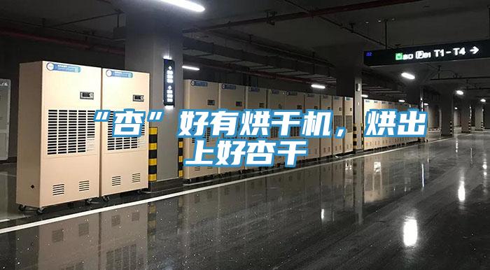 “杏”好有烘干机，烘出上好杏干