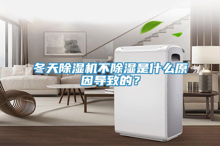冬天除湿机不除湿是什么原因导致的？