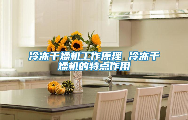 冷冻干燥机工作原理 冷冻干燥机的特点作用