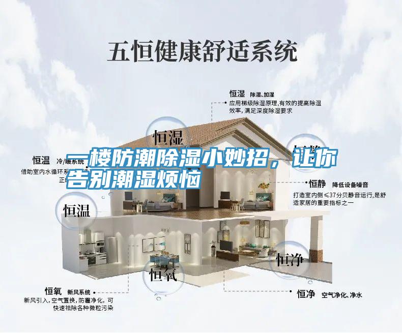 一楼防潮除湿小妙招，让你告别潮湿烦恼