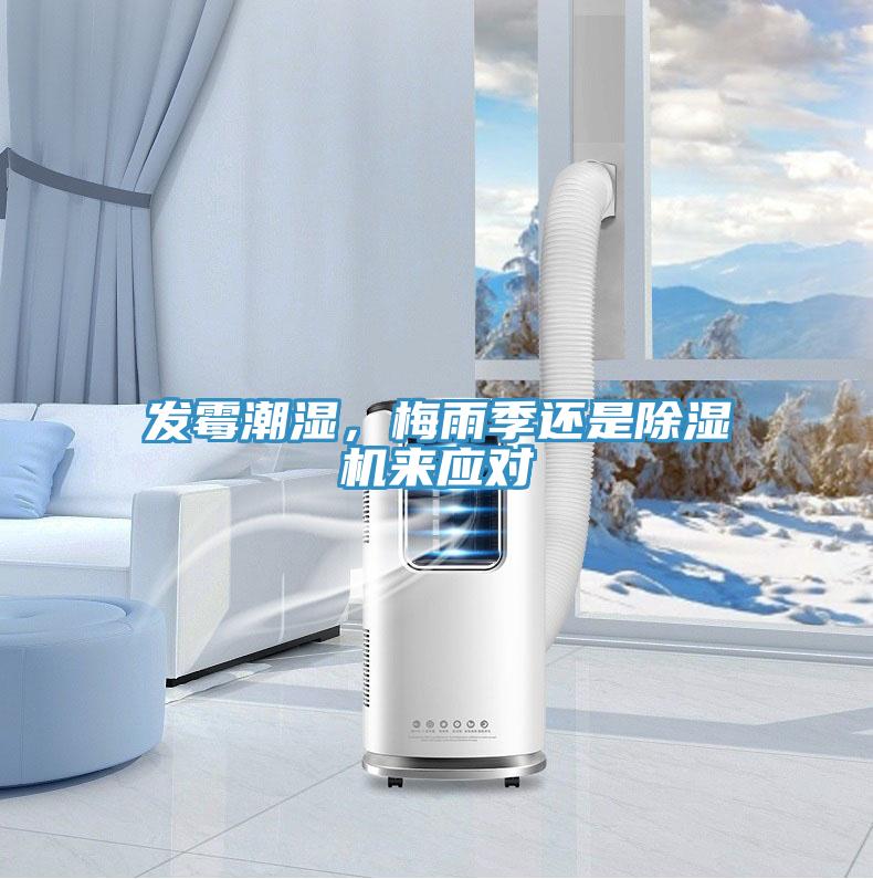 发霉潮湿，梅雨季还是除湿机来应对