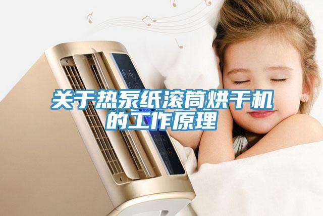 关于热泵纸滚筒烘干机的工作原理