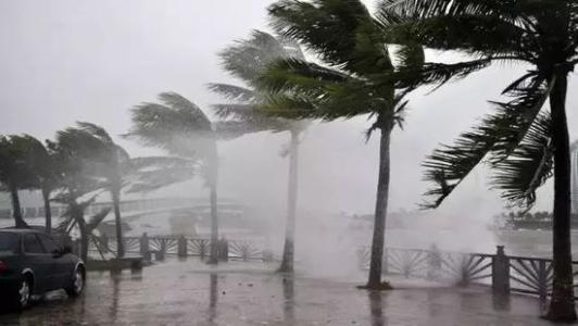 8月台风雨即将来，除湿机还得用起来