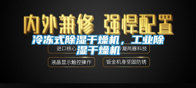 冷冻式除湿干燥机，工业除湿干燥机