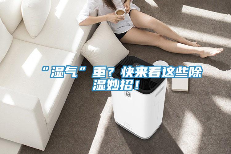 “湿气”重？快来看这些除湿妙招！