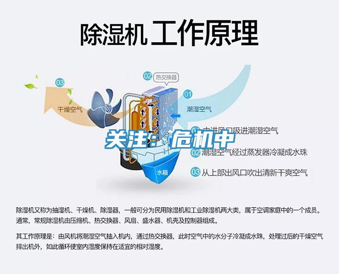 关注：?；?></div>
								<div class=