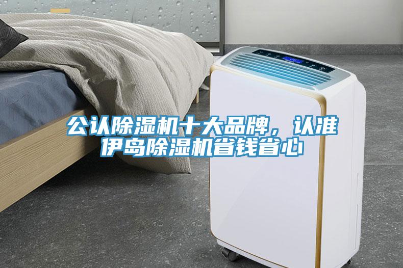 公认除湿机十大品牌，认准伊岛除湿机省钱省心