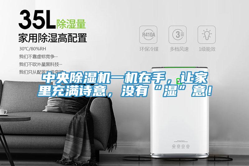 中央除湿机一机在手，让家里充满诗意，没有“湿”意！