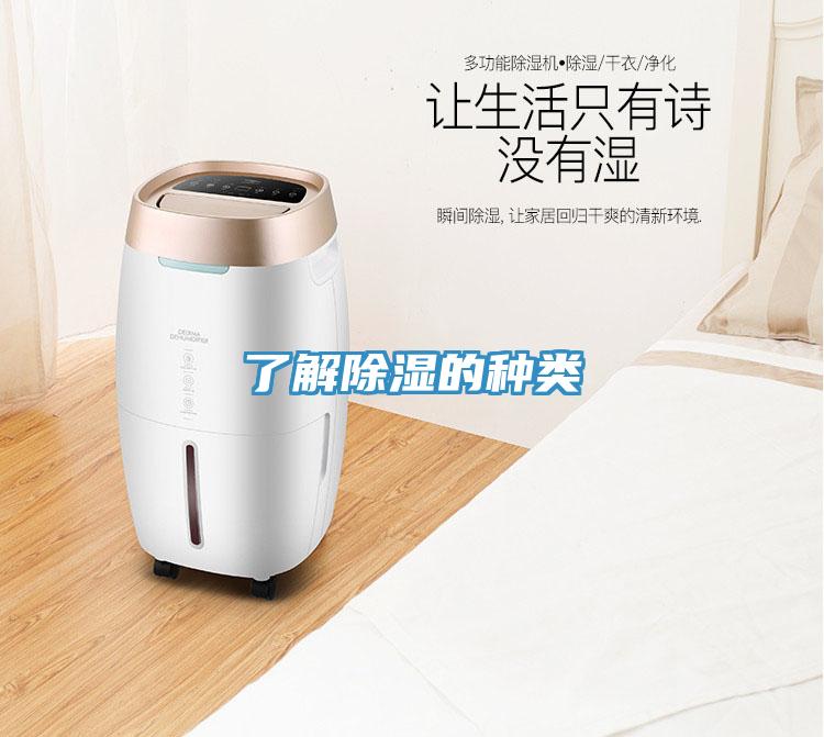 了解除湿的种类