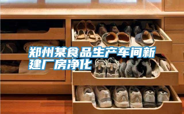 郑州某食品生产车间新建厂房净化