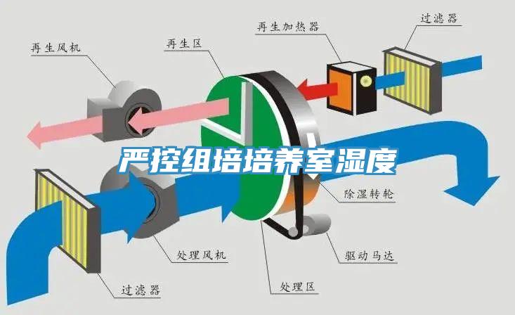 严控组培培养室湿度