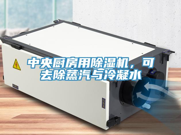 中央厨房用除湿机，可去除蒸汽与冷凝水