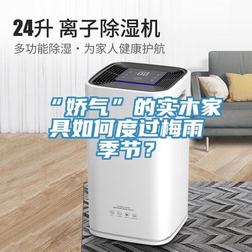 “娇气”的实木家具如何度过梅雨季节？
