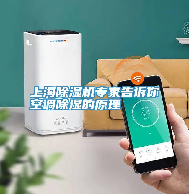 上海除湿机专家告诉你空调除湿的原理