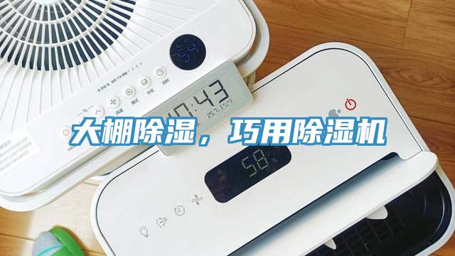 大棚除湿，巧用除湿机