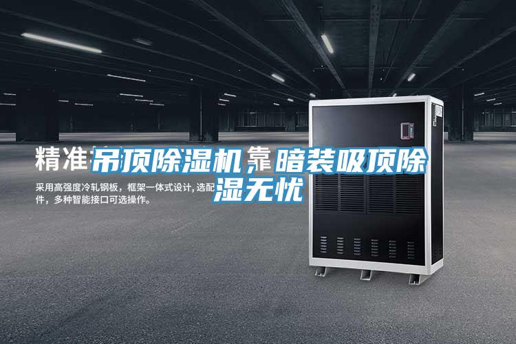 吊顶除湿机，暗装吸顶除湿无忧