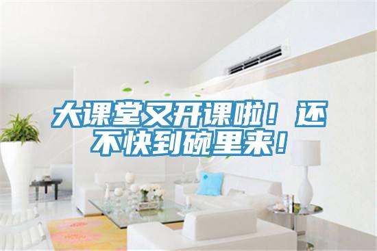 大课堂又开课啦！还不快到碗里来！