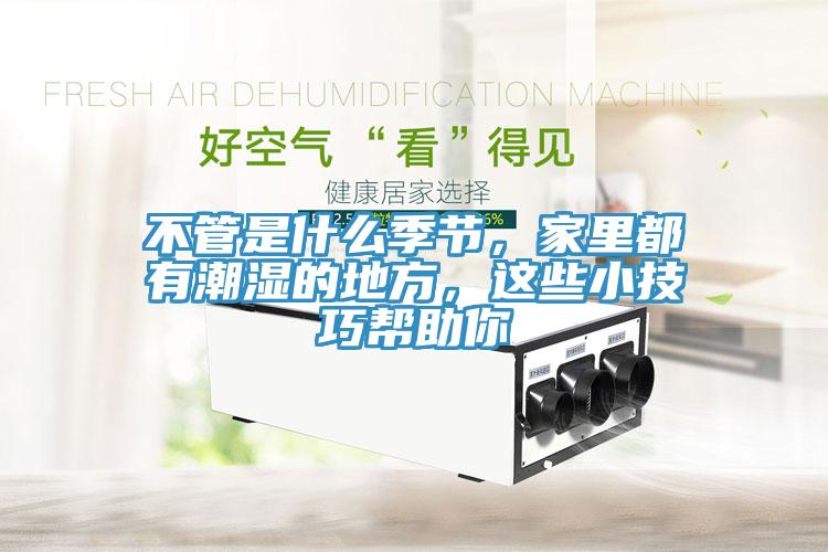 不管是什么季节，家里都有潮湿的地方，这些小技巧帮助你