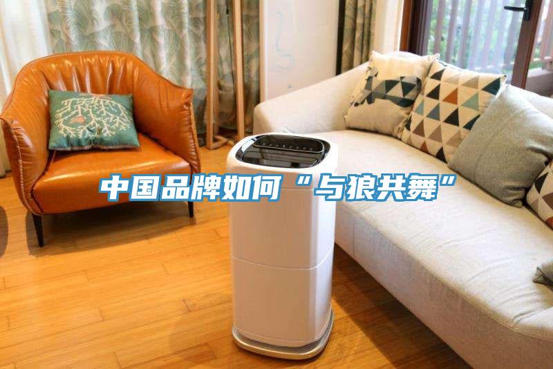中国品牌如何“与狼共舞”