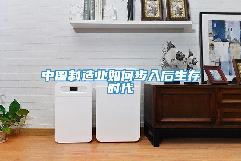 中国制造业如何步入后生存时代