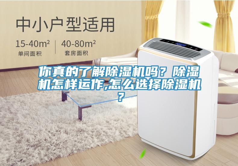 你真的了解除湿机吗？除湿机怎样运作,怎么选择除湿机？
