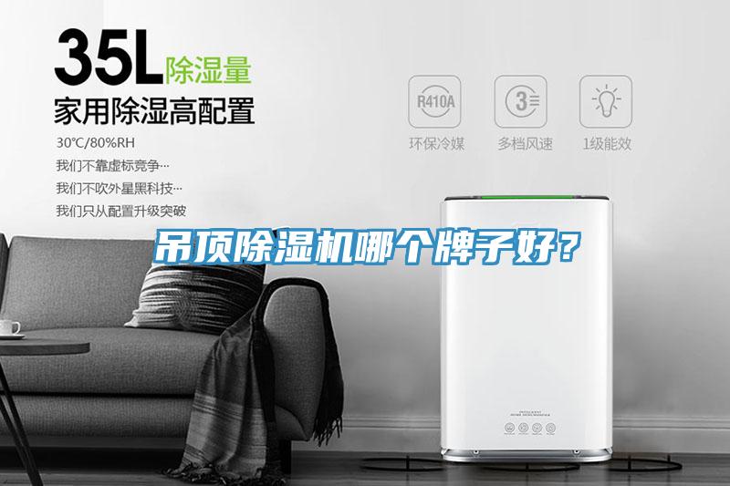 吊顶除湿机哪个牌子好？