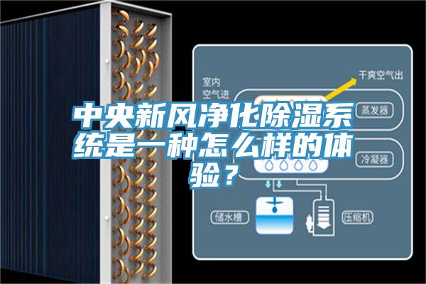中央新风净化除湿系统是一种怎么样的体验？