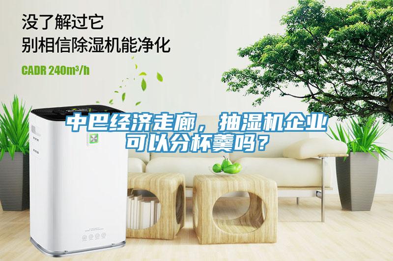 中巴经济走廊，抽湿机企业可以分杯羹吗？