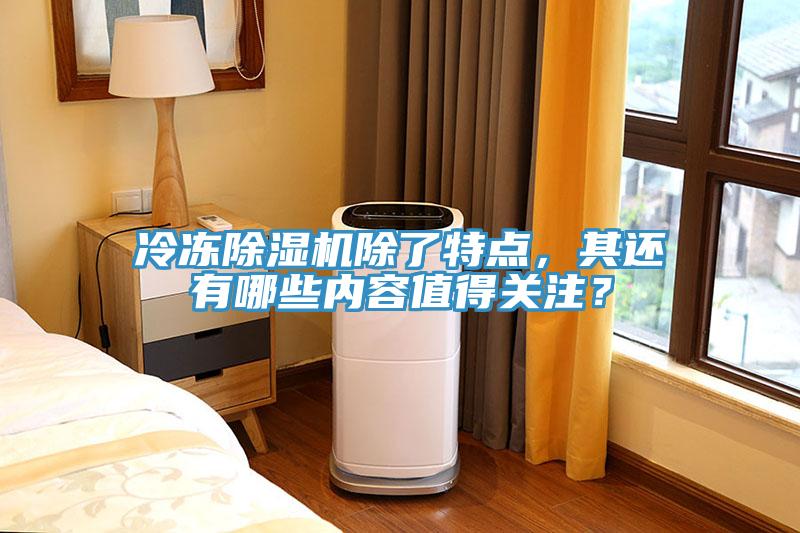 冷冻除湿机除了特点，其还有哪些内容值得关注？
