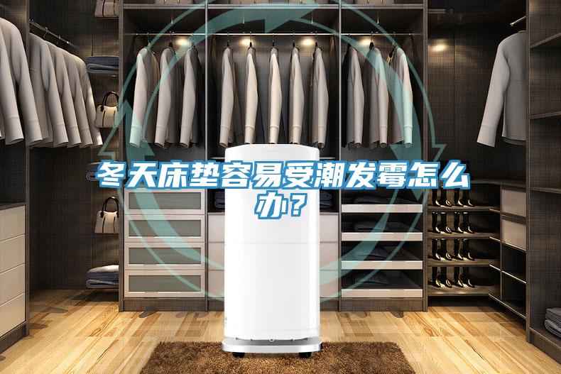 冬天床垫容易受潮发霉怎么办？