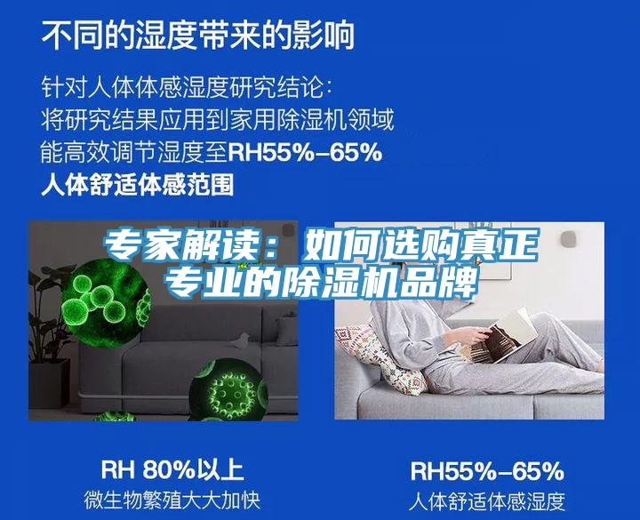 专家解读：如何选购真正专业的除湿机品牌