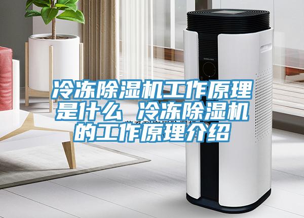 冷冻除湿机工作原理是什么 冷冻除湿机的工作原理介绍