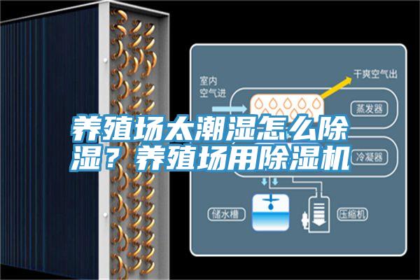 养殖场太潮湿怎么除湿？养殖场用除湿机