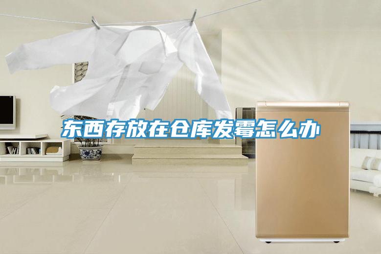 东西存放在仓库发霉怎么办