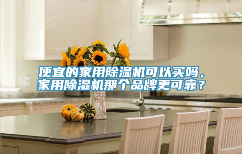 便宜的家用除湿机可以买吗，家用除湿机那个品牌更可靠？