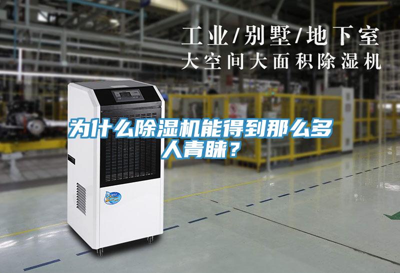 为什么除湿机能得到那么多人青睐？