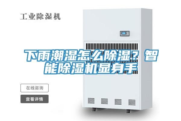 下雨潮湿怎么除湿？智能除湿机显身手