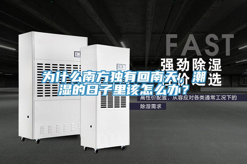 为什么南方独有回南天，潮湿的日子里该怎么办？