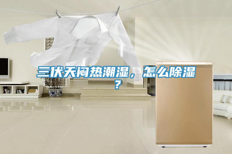三伏天闷热潮湿，怎么除湿？