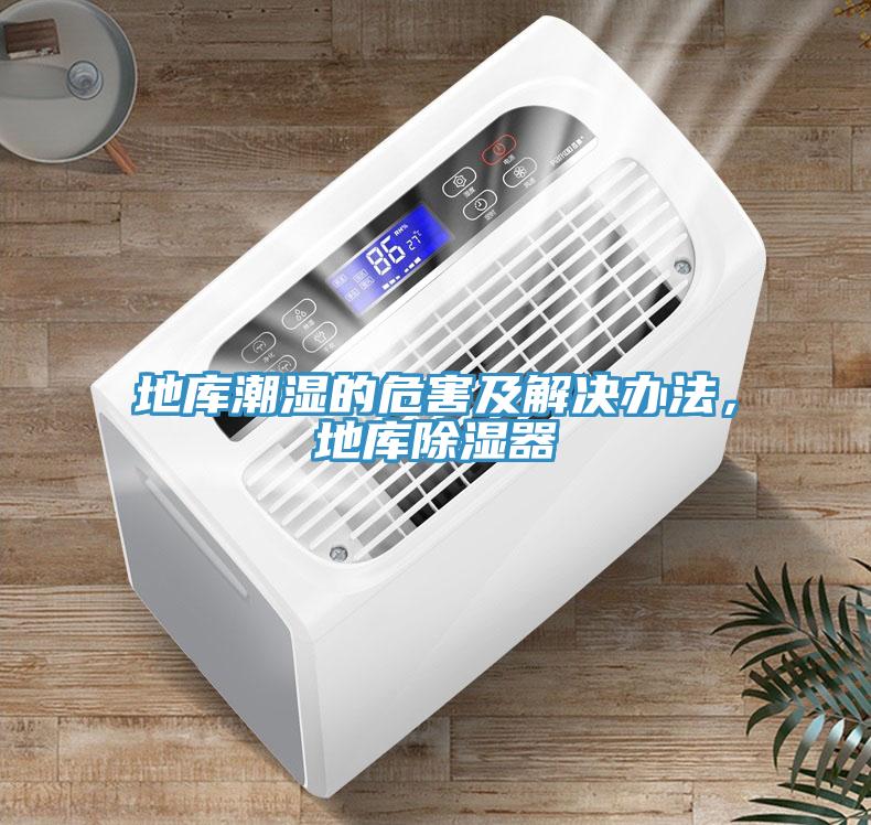 地库潮湿的危害及解决办法，地库除湿器