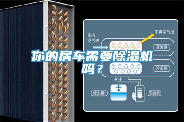 你的房车需要除湿机吗？