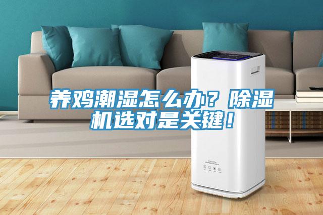 养鸡潮湿怎么办？除湿机选对是关键！