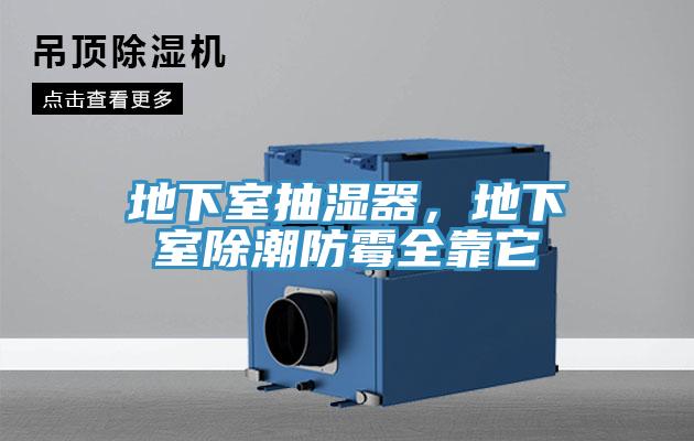 地下室抽湿器，地下室除潮防霉全靠它