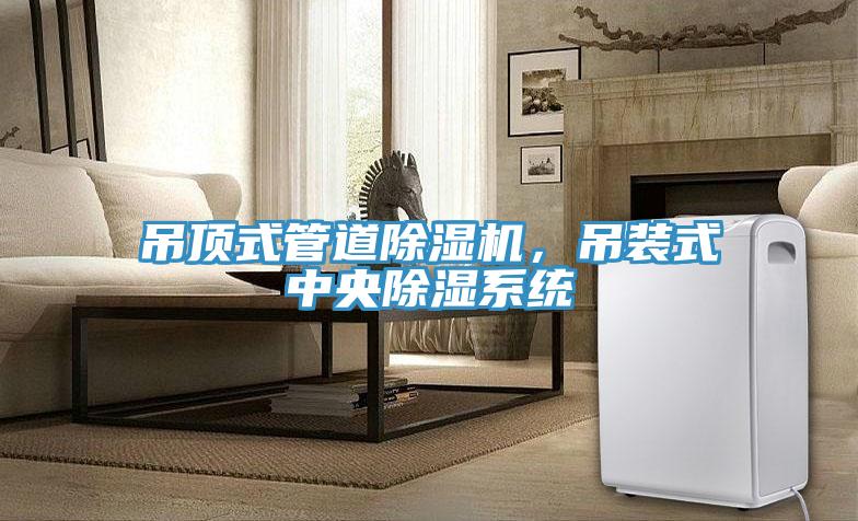 吊顶式管道除湿机，吊装式中央除湿系统