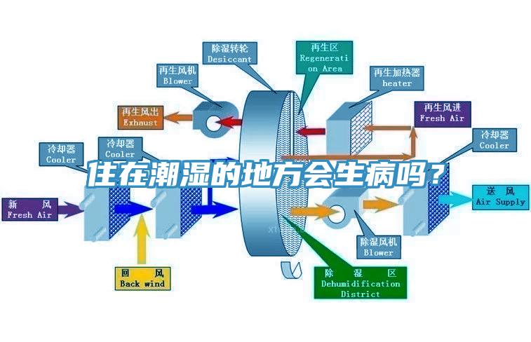 住在潮湿的地方会生病吗？