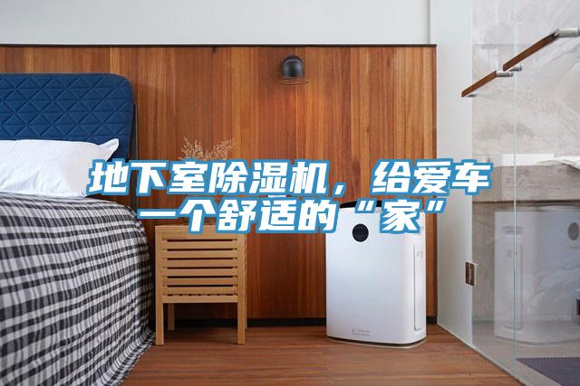 地下室除湿机，给爱车一个舒适的“家”