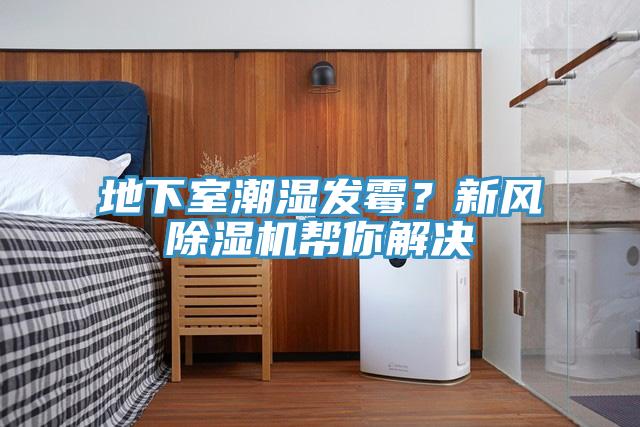 地下室潮湿发霉？新风除湿机帮你解决