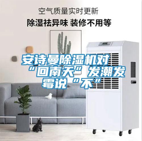 安诗曼除湿机对“回南天”发潮发霉说“不”